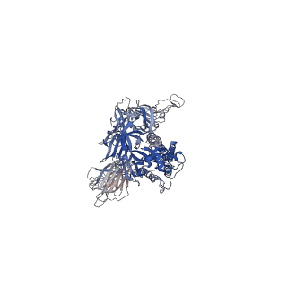 24123_7n1u_C_v1-1
Structural basis for enhanced infectivity and immune evasion of SARS-CoV-2 variants