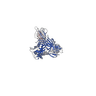 24125_7n1w_A_v1-1
Structural basis for enhanced infectivity and immune evasion of SARS-CoV-2 variants
