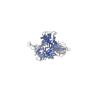 24125_7n1w_B_v1-1
Structural basis for enhanced infectivity and immune evasion of SARS-CoV-2 variants
