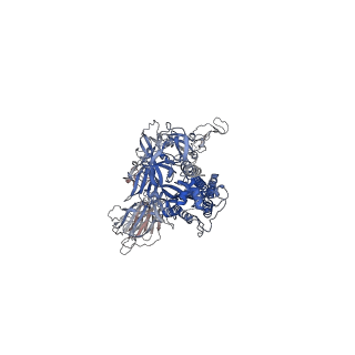 24125_7n1w_C_v1-1
Structural basis for enhanced infectivity and immune evasion of SARS-CoV-2 variants