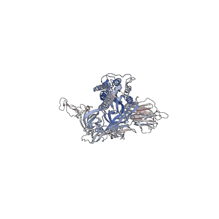 24126_7n1x_B_v1-1
Structural basis for enhanced infectivity and immune evasion of SARS-CoV-2 variants