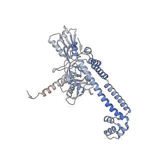 9318_6n1r_A_v1-1
Tetrahedral oligomeric complex of GyrA N-terminal fragment, solved by cryoEM in tetrahedral symmetry