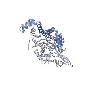 9318_6n1r_D_v1-1
Tetrahedral oligomeric complex of GyrA N-terminal fragment, solved by cryoEM in tetrahedral symmetry