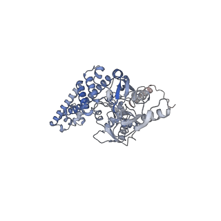 9318_6n1r_E_v1-1
Tetrahedral oligomeric complex of GyrA N-terminal fragment, solved by cryoEM in tetrahedral symmetry