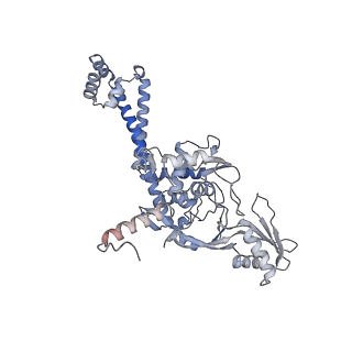 9318_6n1r_F_v1-2
Tetrahedral oligomeric complex of GyrA N-terminal fragment, solved by cryoEM in tetrahedral symmetry