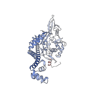 9318_6n1r_H_v1-1
Tetrahedral oligomeric complex of GyrA N-terminal fragment, solved by cryoEM in tetrahedral symmetry