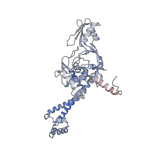 9318_6n1r_I_v1-2
Tetrahedral oligomeric complex of GyrA N-terminal fragment, solved by cryoEM in tetrahedral symmetry