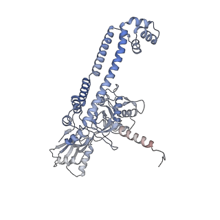 9318_6n1r_J_v1-2
Tetrahedral oligomeric complex of GyrA N-terminal fragment, solved by cryoEM in tetrahedral symmetry