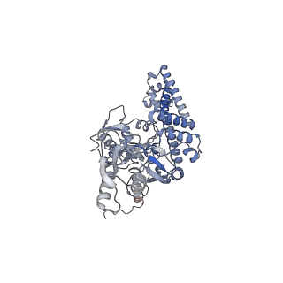 9318_6n1r_K_v1-2
Tetrahedral oligomeric complex of GyrA N-terminal fragment, solved by cryoEM in tetrahedral symmetry