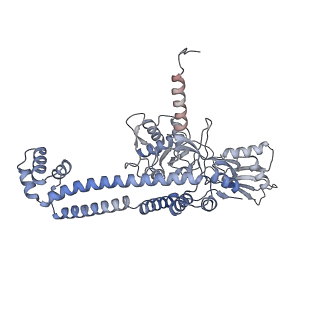 9318_6n1r_L_v1-2
Tetrahedral oligomeric complex of GyrA N-terminal fragment, solved by cryoEM in tetrahedral symmetry