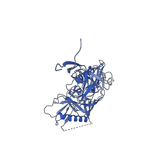 9319_6n1v_B_v1-1
Cryo-EM structure at 4.0 A resolution of vaccine-elicited antibody A12V163-a.01 in complex with HIV-1 Env BG505 DS-SOSIP, and antibodies VRC03 and PGT122