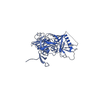 9319_6n1v_C_v1-1
Cryo-EM structure at 4.0 A resolution of vaccine-elicited antibody A12V163-a.01 in complex with HIV-1 Env BG505 DS-SOSIP, and antibodies VRC03 and PGT122