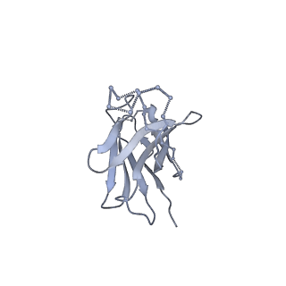 9319_6n1v_Y_v1-1
Cryo-EM structure at 4.0 A resolution of vaccine-elicited antibody A12V163-a.01 in complex with HIV-1 Env BG505 DS-SOSIP, and antibodies VRC03 and PGT122