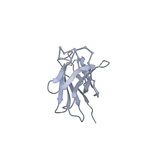 9319_6n1v_Y_v2-0
Cryo-EM structure at 4.0 A resolution of vaccine-elicited antibody A12V163-a.01 in complex with HIV-1 Env BG505 DS-SOSIP, and antibodies VRC03 and PGT122