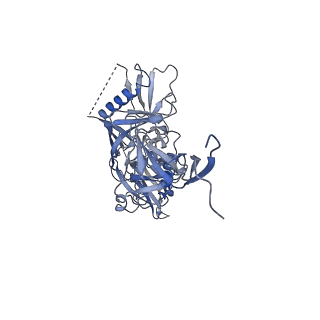 9320_6n1w_2_v1-1
Cryo-EM structure at 4.2 A resolution of vaccine-elicited antibody DFPH-a.15 in complex with HIV-1 Env BG505 DS-SOSIP, and antibodies VRC03 and PGT122