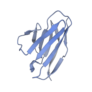 9320_6n1w_7_v1-1
Cryo-EM structure at 4.2 A resolution of vaccine-elicited antibody DFPH-a.15 in complex with HIV-1 Env BG505 DS-SOSIP, and antibodies VRC03 and PGT122