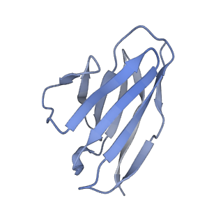 9320_6n1w_7_v2-0
Cryo-EM structure at 4.2 A resolution of vaccine-elicited antibody DFPH-a.15 in complex with HIV-1 Env BG505 DS-SOSIP, and antibodies VRC03 and PGT122