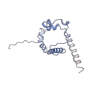 9320_6n1w_A_v2-0
Cryo-EM structure at 4.2 A resolution of vaccine-elicited antibody DFPH-a.15 in complex with HIV-1 Env BG505 DS-SOSIP, and antibodies VRC03 and PGT122