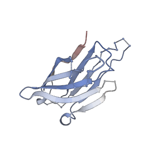 9320_6n1w_Q_v1-1
Cryo-EM structure at 4.2 A resolution of vaccine-elicited antibody DFPH-a.15 in complex with HIV-1 Env BG505 DS-SOSIP, and antibodies VRC03 and PGT122