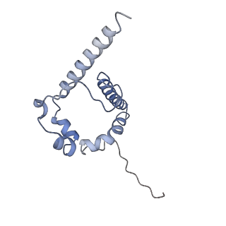 9320_6n1w_d_v1-1
Cryo-EM structure at 4.2 A resolution of vaccine-elicited antibody DFPH-a.15 in complex with HIV-1 Env BG505 DS-SOSIP, and antibodies VRC03 and PGT122