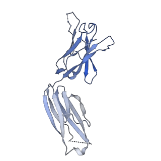 24128_7n28_J_v1-2
Cryo-EM structure of broadly neutralizing V2-apex-targeting antibody J033 in complex with HIV-1 Env