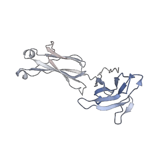 24128_7n28_U_v1-2
Cryo-EM structure of broadly neutralizing V2-apex-targeting antibody J033 in complex with HIV-1 Env