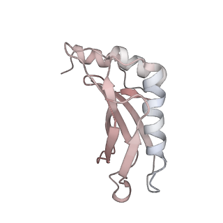 24132_7n2c_LA_v1-2
Elongating 70S ribosome complex in a fusidic acid-stalled intermediate state of translocation bound to EF-G(GDP) (INT2)