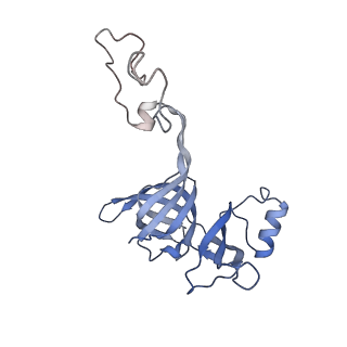 24132_7n2c_LC_v1-2
Elongating 70S ribosome complex in a fusidic acid-stalled intermediate state of translocation bound to EF-G(GDP) (INT2)