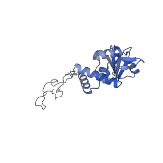 24132_7n2c_LD_v1-2
Elongating 70S ribosome complex in a fusidic acid-stalled intermediate state of translocation bound to EF-G(GDP) (INT2)