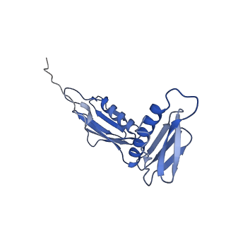 24132_7n2c_LF_v1-2
Elongating 70S ribosome complex in a fusidic acid-stalled intermediate state of translocation bound to EF-G(GDP) (INT2)