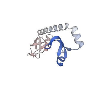 24132_7n2c_LI_v1-2
Elongating 70S ribosome complex in a fusidic acid-stalled intermediate state of translocation bound to EF-G(GDP) (INT2)