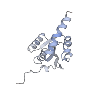 24132_7n2c_LJ_v1-2
Elongating 70S ribosome complex in a fusidic acid-stalled intermediate state of translocation bound to EF-G(GDP) (INT2)