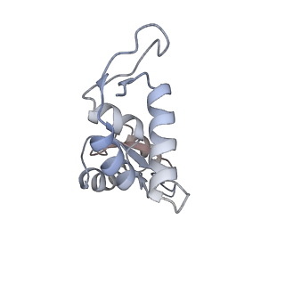 24132_7n2c_LK_v1-2
Elongating 70S ribosome complex in a fusidic acid-stalled intermediate state of translocation bound to EF-G(GDP) (INT2)