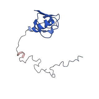 24132_7n2c_LO_v1-2
Elongating 70S ribosome complex in a fusidic acid-stalled intermediate state of translocation bound to EF-G(GDP) (INT2)