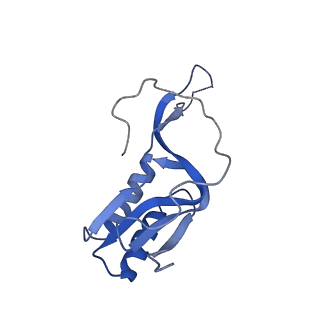 24132_7n2c_LP_v1-2
Elongating 70S ribosome complex in a fusidic acid-stalled intermediate state of translocation bound to EF-G(GDP) (INT2)