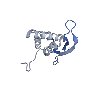 24132_7n2c_LQ_v1-2
Elongating 70S ribosome complex in a fusidic acid-stalled intermediate state of translocation bound to EF-G(GDP) (INT2)