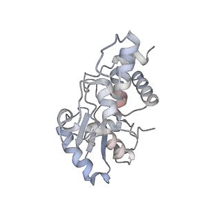 24132_7n2c_SD_v1-2
Elongating 70S ribosome complex in a fusidic acid-stalled intermediate state of translocation bound to EF-G(GDP) (INT2)