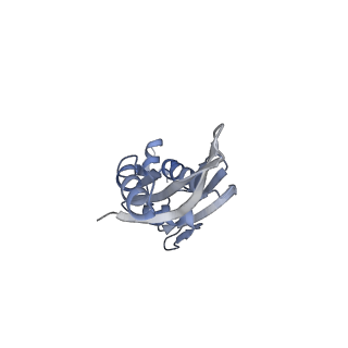 24132_7n2c_SE_v1-2
Elongating 70S ribosome complex in a fusidic acid-stalled intermediate state of translocation bound to EF-G(GDP) (INT2)
