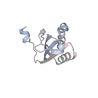 24132_7n2c_SF_v1-2
Elongating 70S ribosome complex in a fusidic acid-stalled intermediate state of translocation bound to EF-G(GDP) (INT2)
