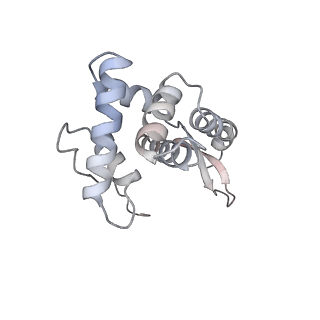 24132_7n2c_SG_v1-2
Elongating 70S ribosome complex in a fusidic acid-stalled intermediate state of translocation bound to EF-G(GDP) (INT2)