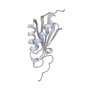 24132_7n2c_SK_v1-2
Elongating 70S ribosome complex in a fusidic acid-stalled intermediate state of translocation bound to EF-G(GDP) (INT2)