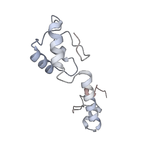 24132_7n2c_SM_v1-2
Elongating 70S ribosome complex in a fusidic acid-stalled intermediate state of translocation bound to EF-G(GDP) (INT2)