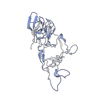 24133_7n2u_LB_v1-2
Elongating 70S ribosome complex in a hybrid-H1 pre-translocation (PRE-H1) conformation