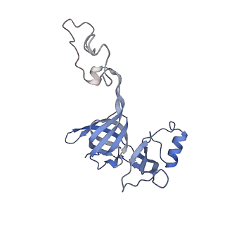 24133_7n2u_LC_v1-2
Elongating 70S ribosome complex in a hybrid-H1 pre-translocation (PRE-H1) conformation