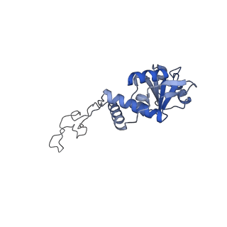 24133_7n2u_LD_v1-2
Elongating 70S ribosome complex in a hybrid-H1 pre-translocation (PRE-H1) conformation