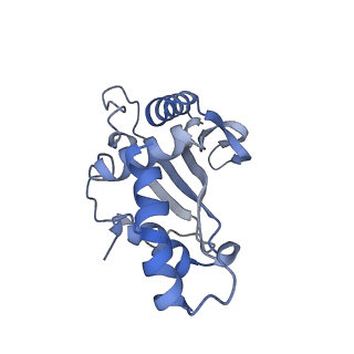 24133_7n2u_LE_v1-2
Elongating 70S ribosome complex in a hybrid-H1 pre-translocation (PRE-H1) conformation