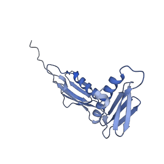 24133_7n2u_LF_v1-2
Elongating 70S ribosome complex in a hybrid-H1 pre-translocation (PRE-H1) conformation