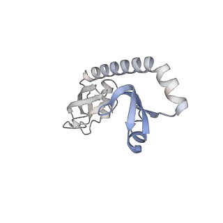 24133_7n2u_LI_v1-2
Elongating 70S ribosome complex in a hybrid-H1 pre-translocation (PRE-H1) conformation