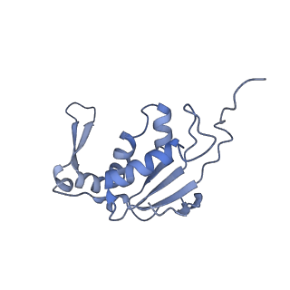 24133_7n2u_LM_v1-2
Elongating 70S ribosome complex in a hybrid-H1 pre-translocation (PRE-H1) conformation