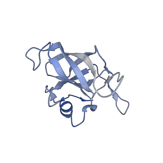 24133_7n2u_LN_v1-2
Elongating 70S ribosome complex in a hybrid-H1 pre-translocation (PRE-H1) conformation